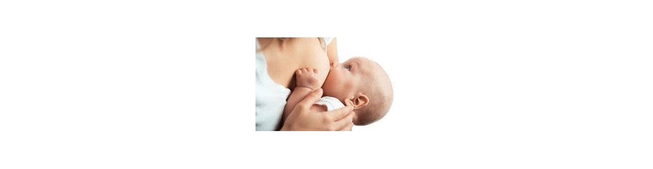 Maternidade e lactancia